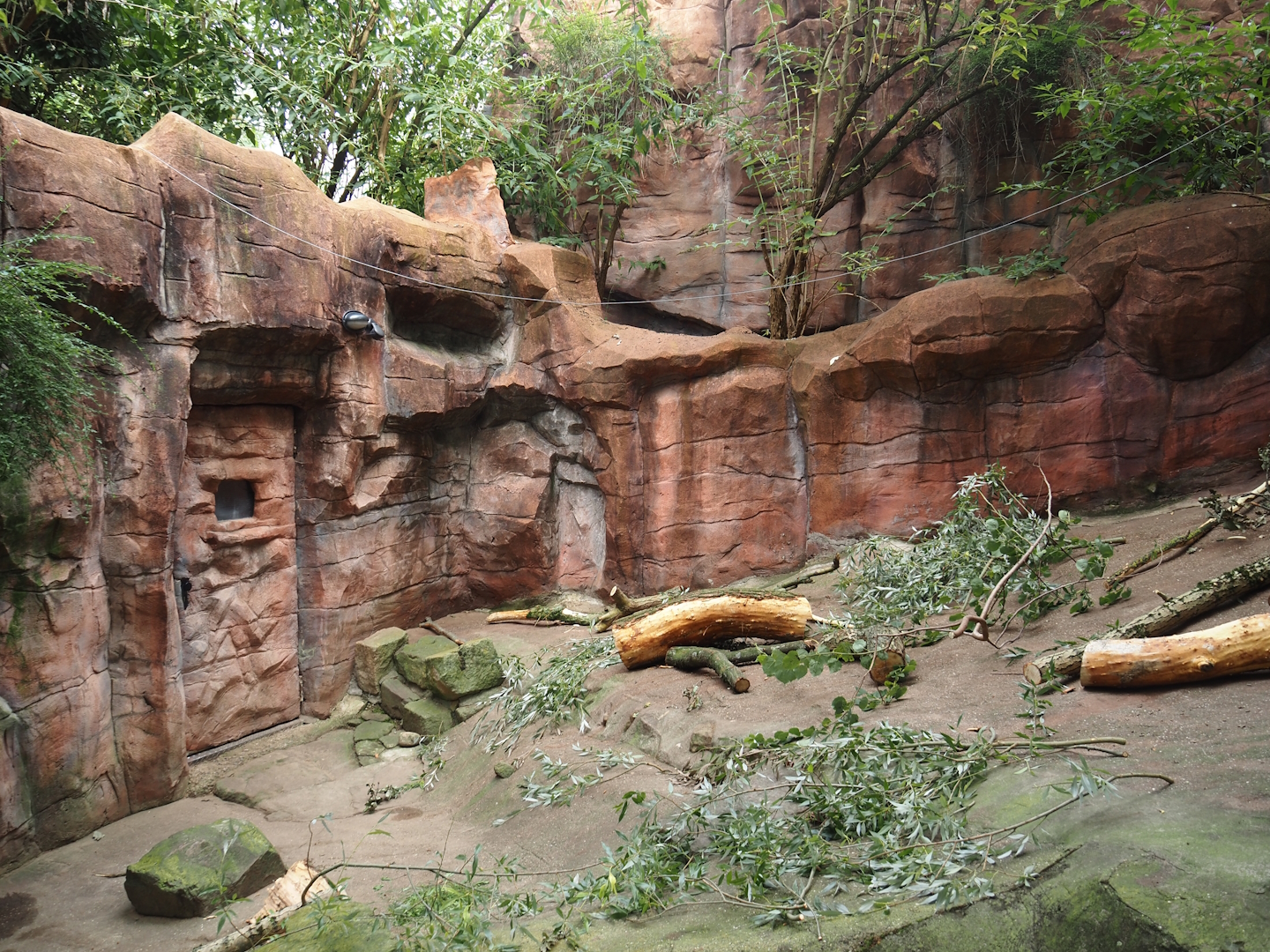 Indian crested porcupine exhibit, 2024-08-05