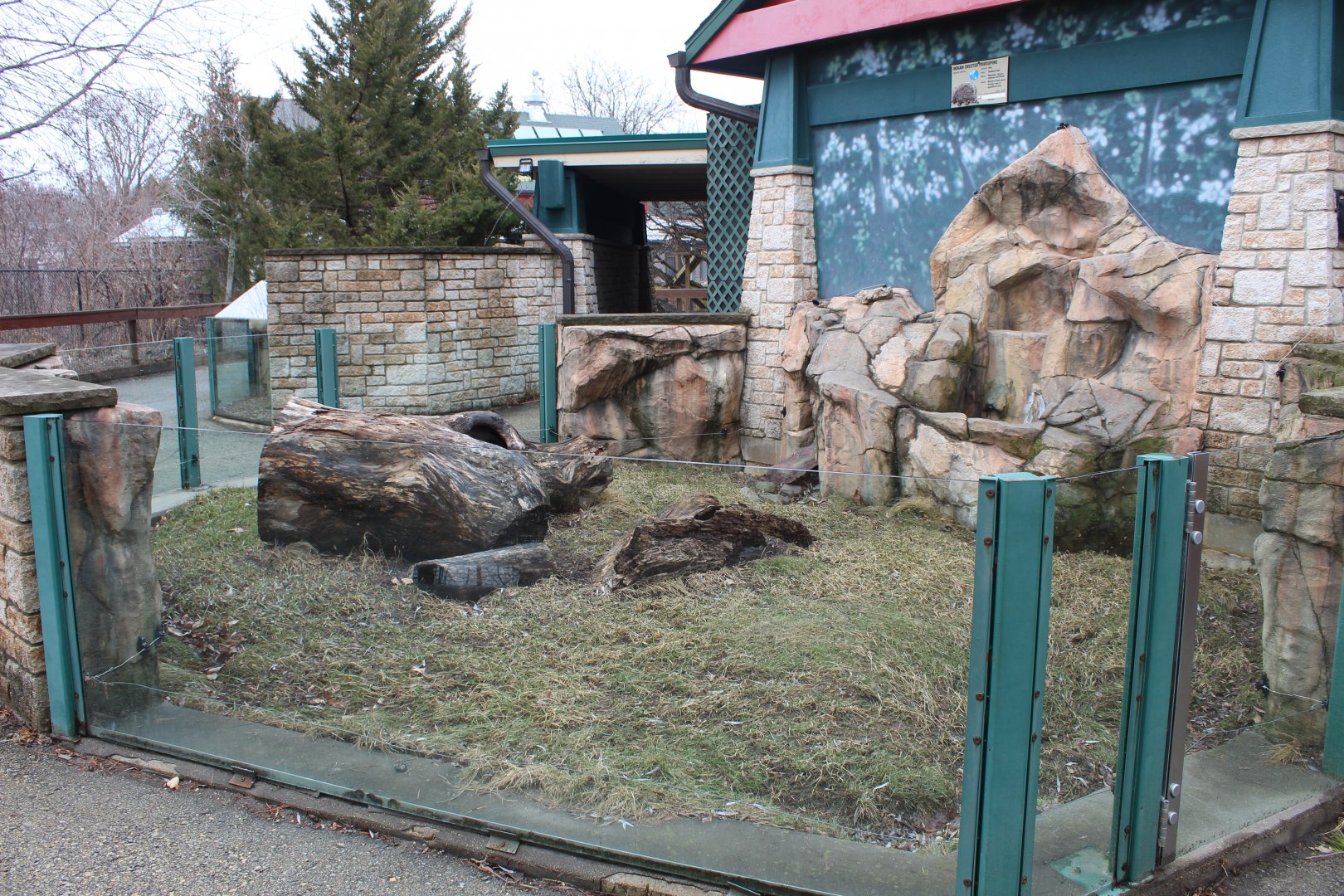 Indian Crested Porcupine Exhibit - Children's Zoo