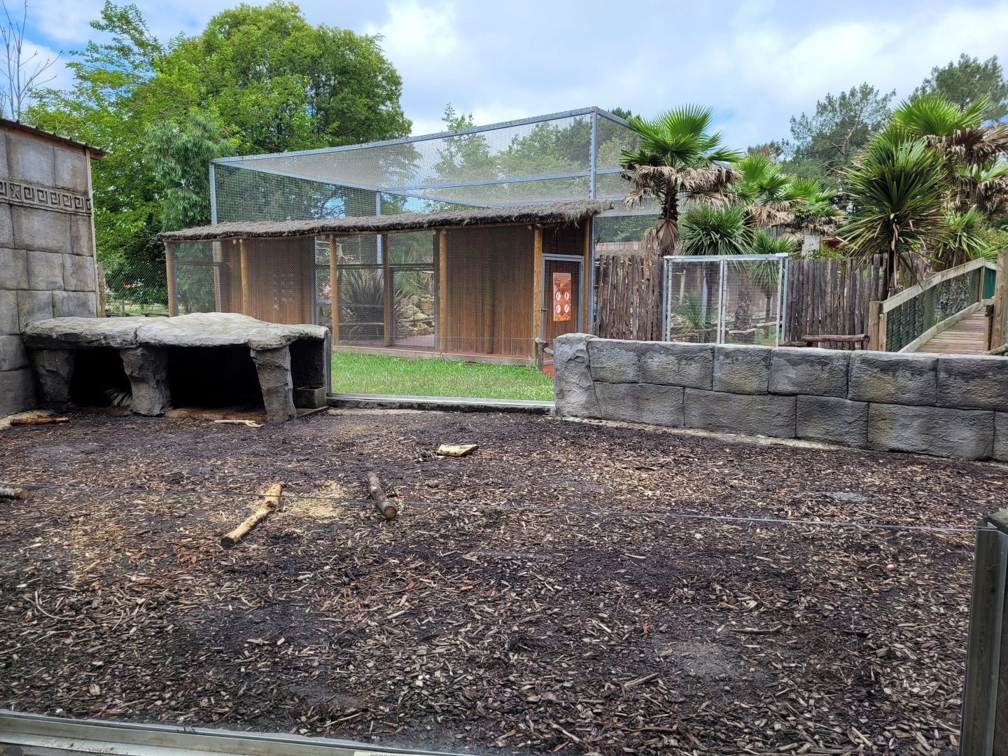 Indian crested porcupine exhibit -Zoo du bassin d'Arcachon (2024)