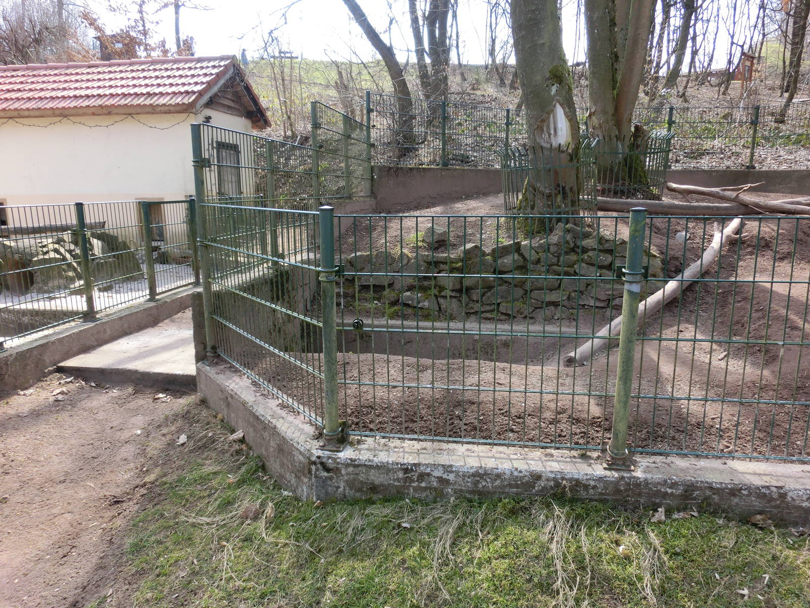 indian crested porcupine exhibit - Zoo Neunkirchen