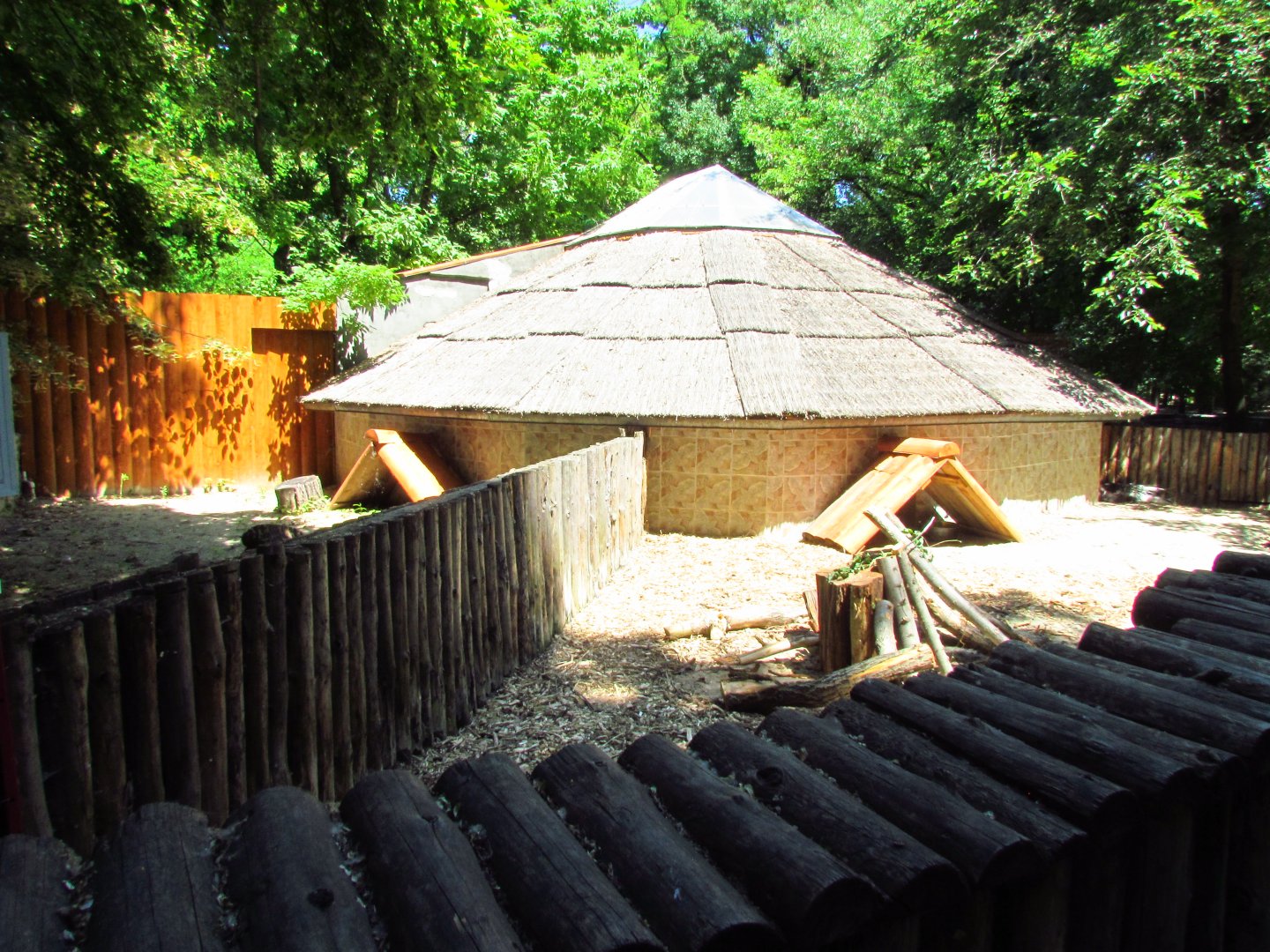 Indian crested porcupine exhibit
