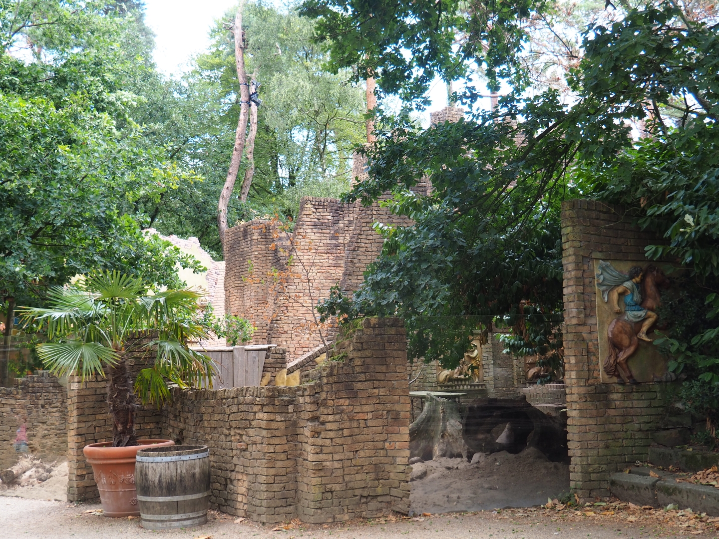 Indian crested porcupine exhibit