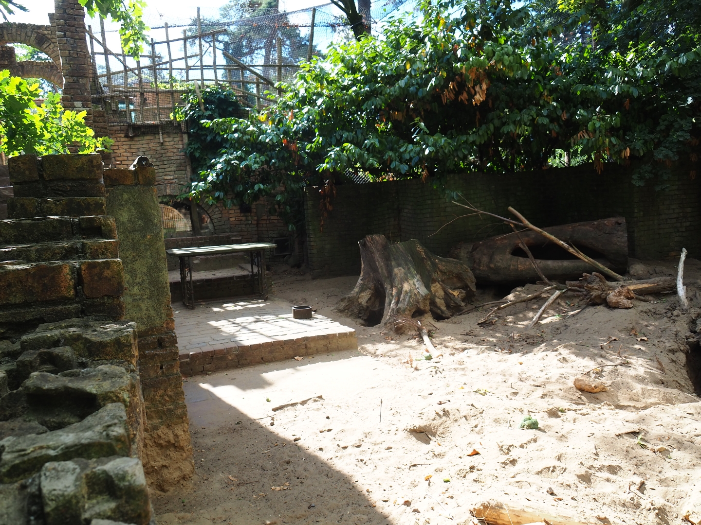 Indian crested porcupine exhibit