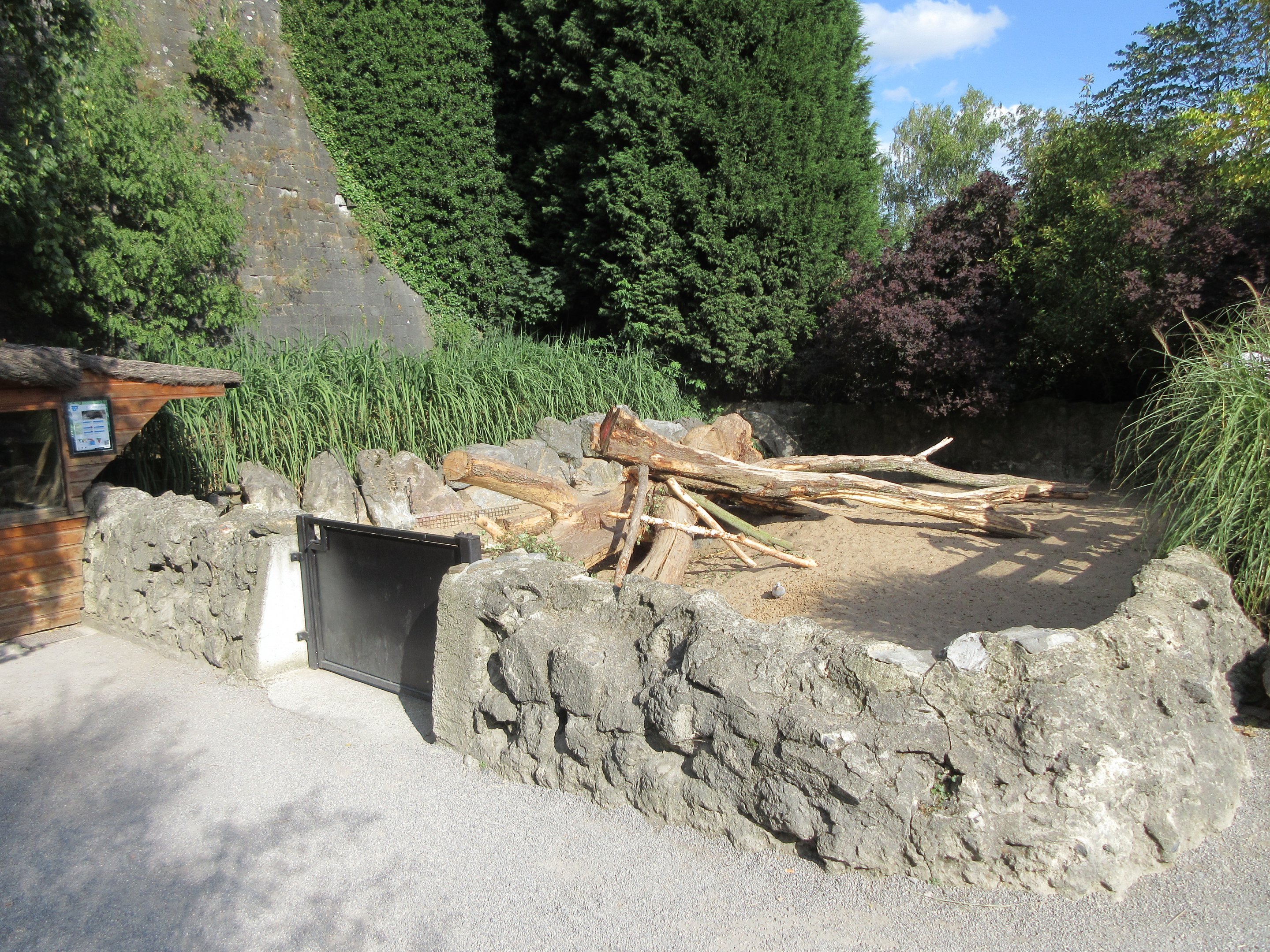 Indian Crested Porcupine Exhibit