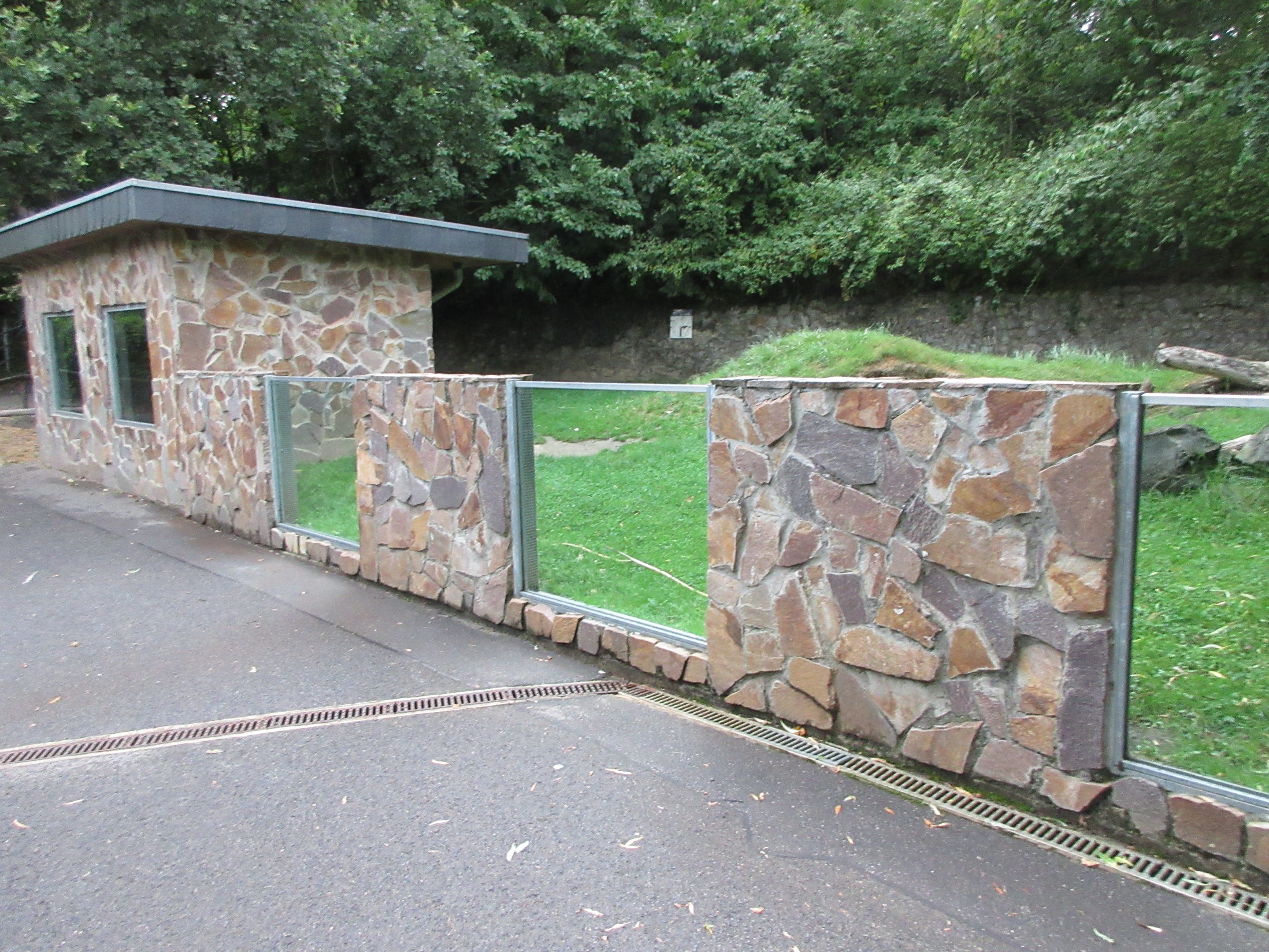 Indian Crested Porcupine Exhibit
