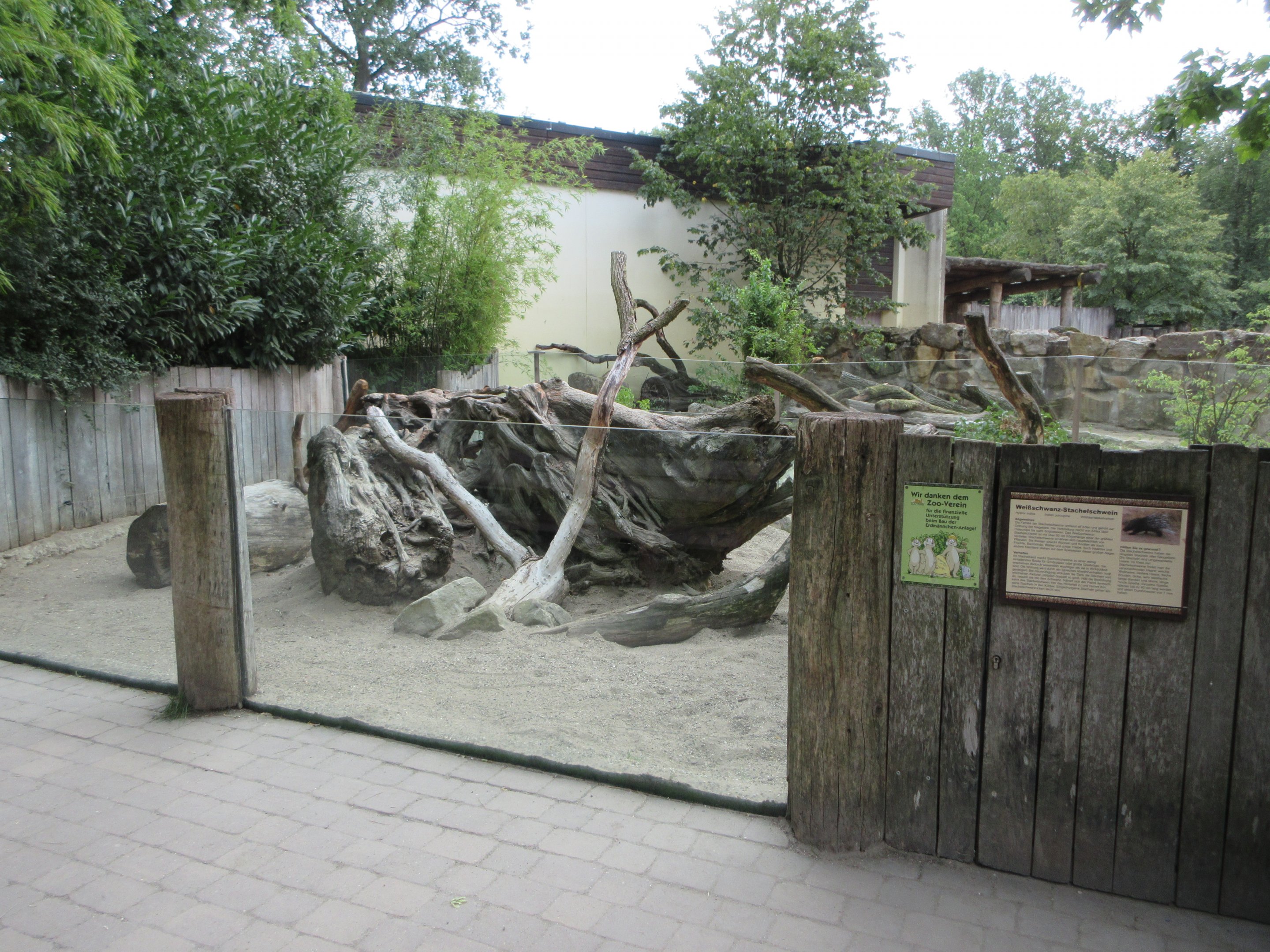 Indian Crested Porcupine Exhibit
