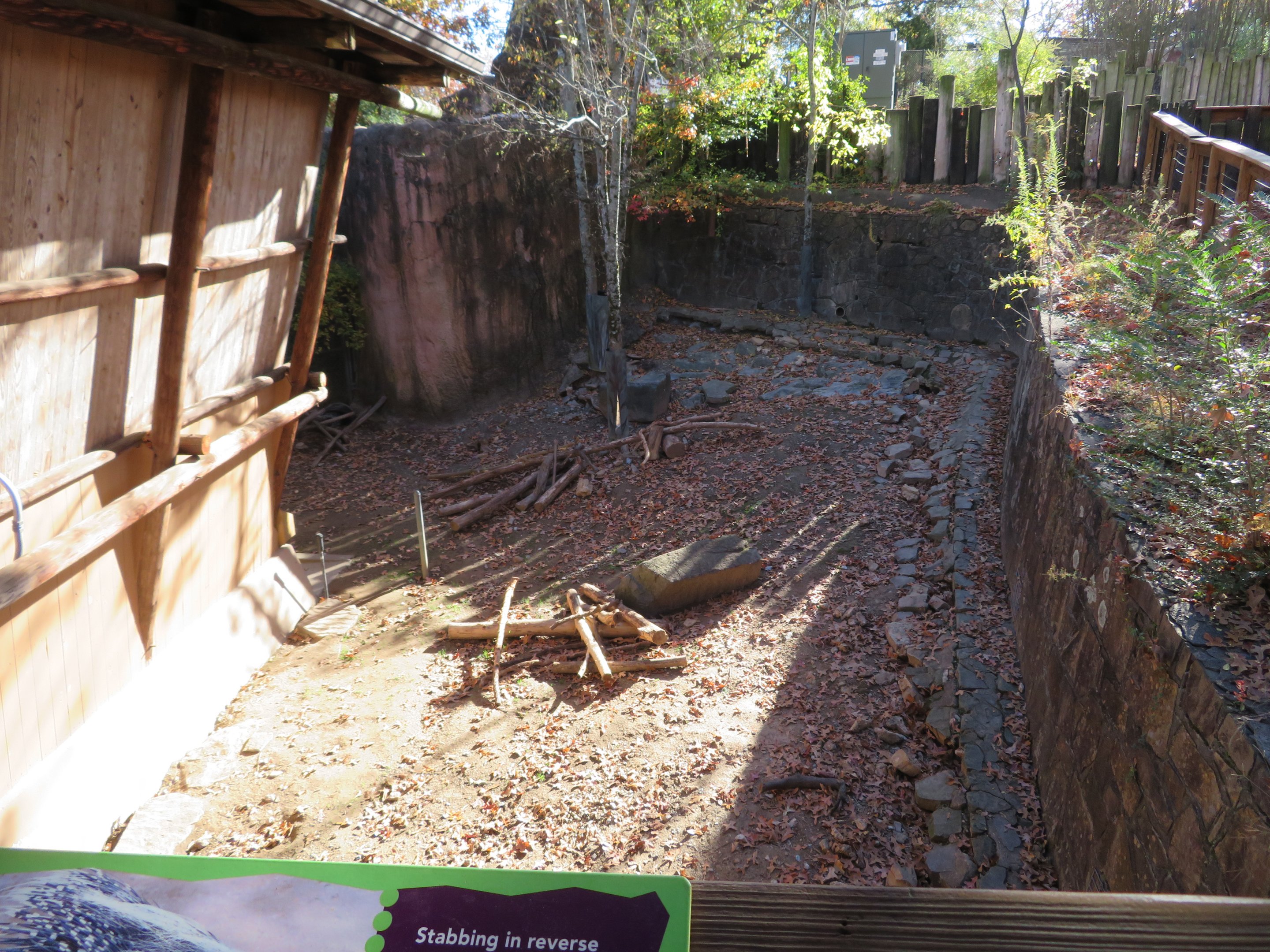 Indian Crested Porcupine Exhibit