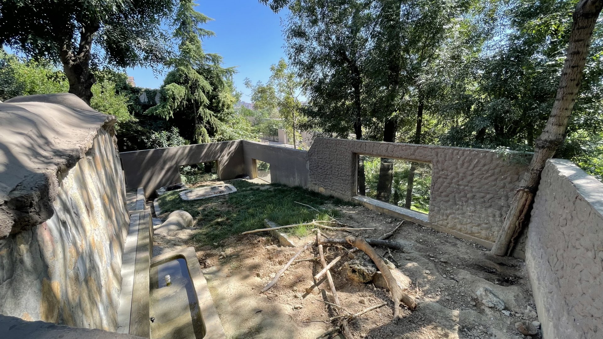 Indian crested porcupine exhibit