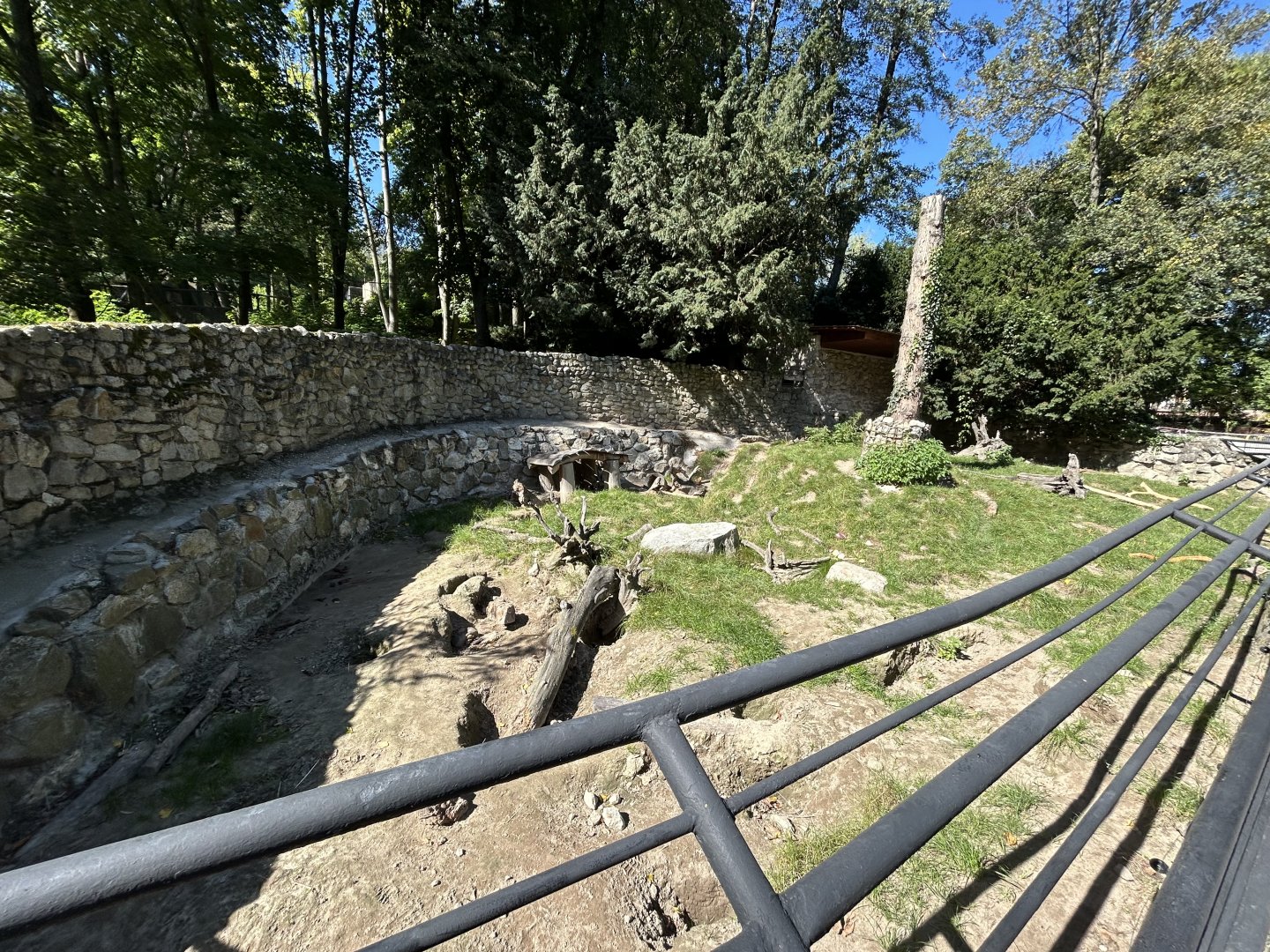 Indian Crested Porcupine Exhibit