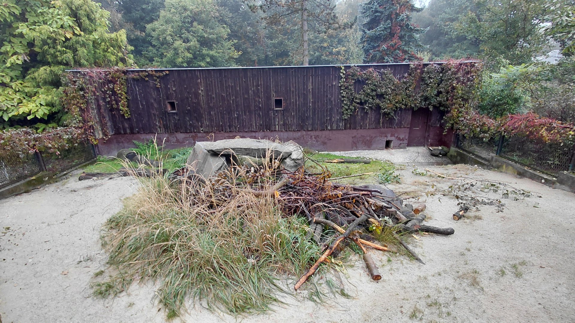 Indian crested porcupine exhibit
