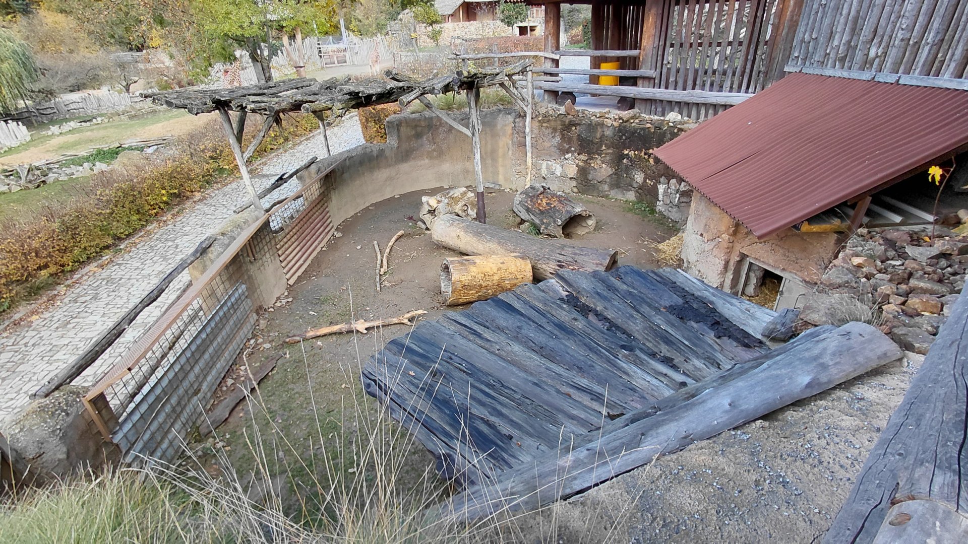 Indian crested porcupine exhibit