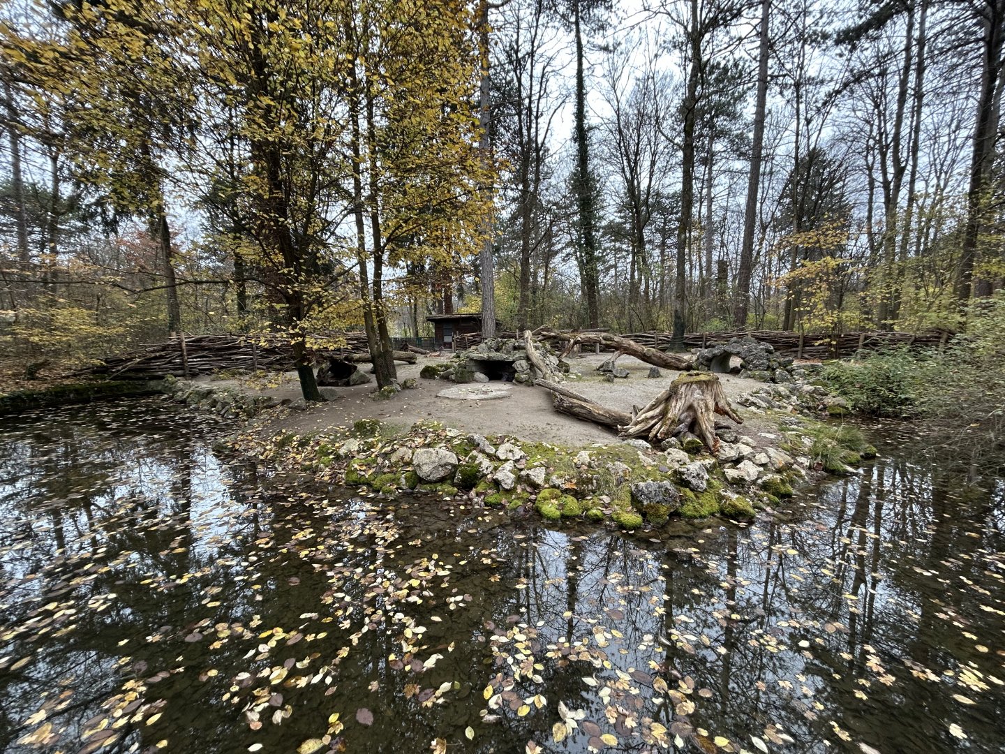 Indian Crested Porcupine Exhibit