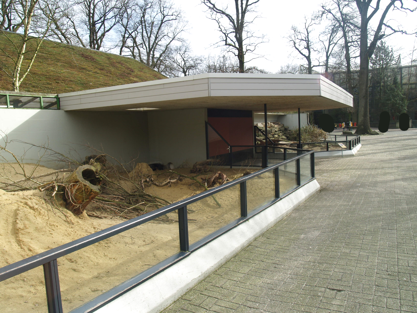 Indian crested porcupine exhibits, 2008-03-01