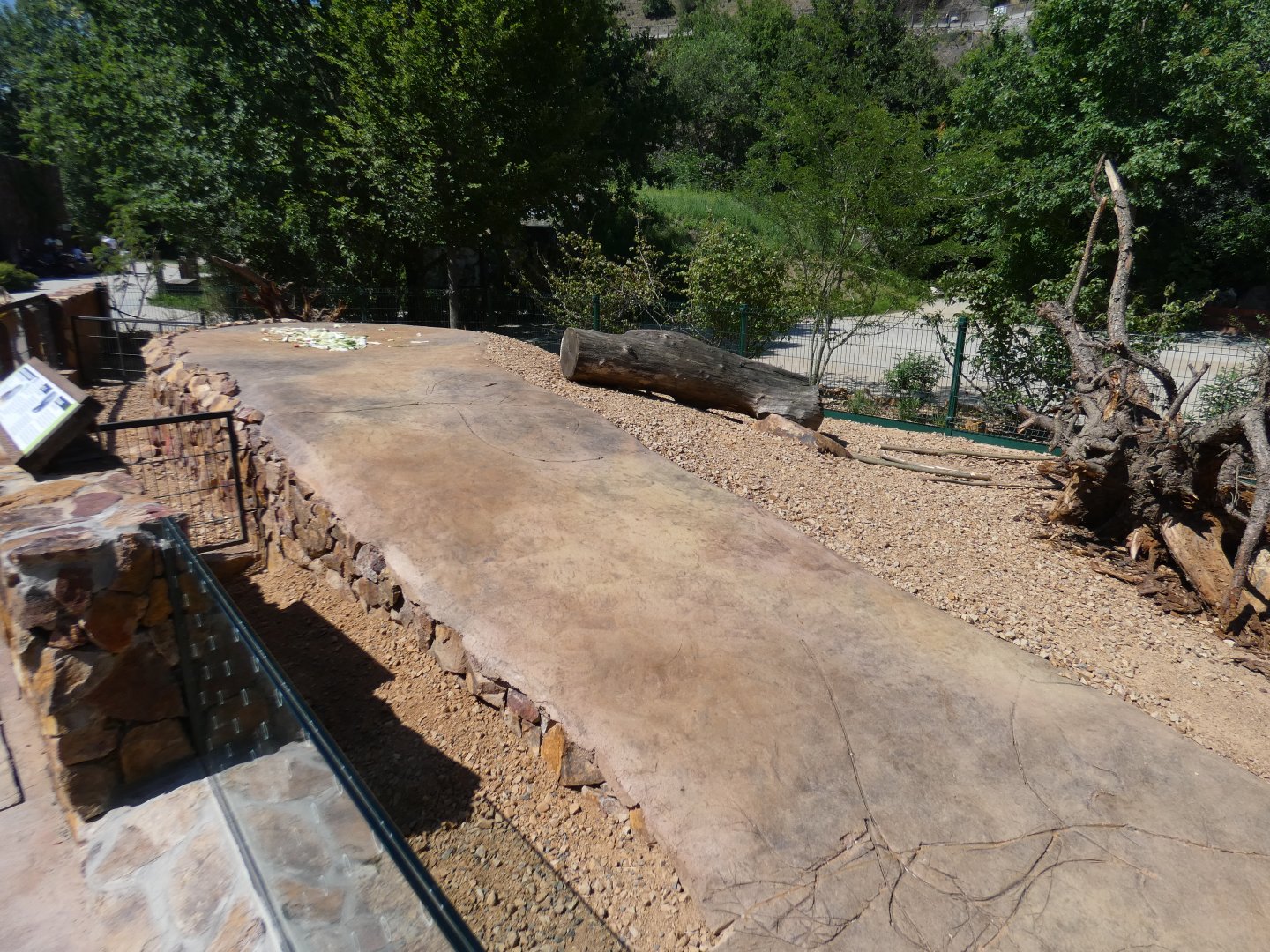 Indian crested porcupine outdoor enclosure