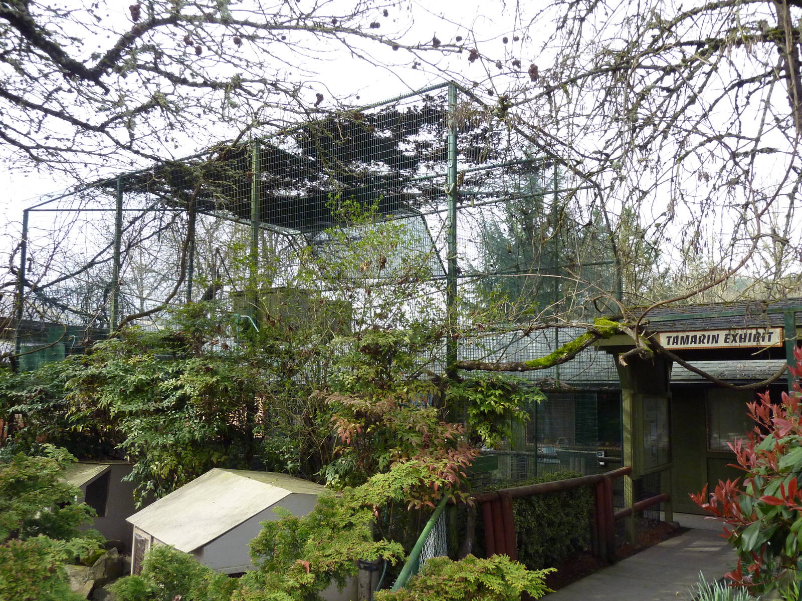 Indian Crested Porcupine/Red Billed Hornbill Exhibit