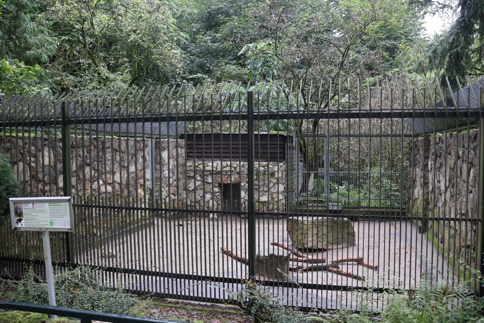 Indian Crested Porcupine second enclosure