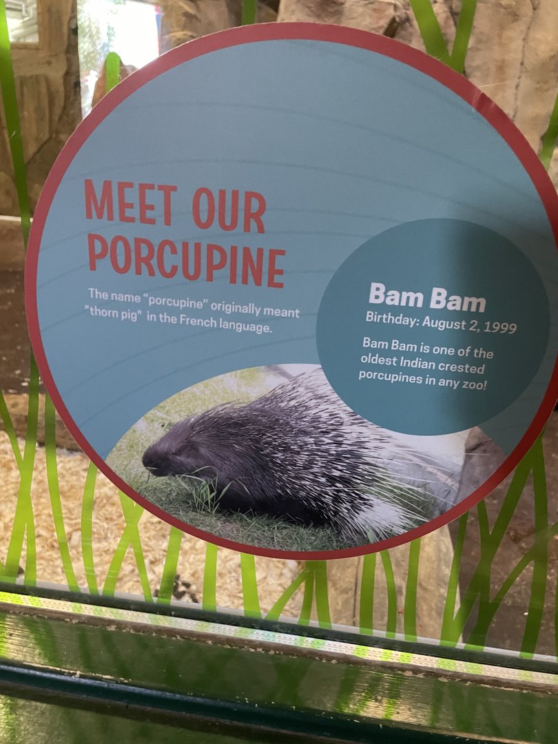 Indian Crested Porcupine Signage