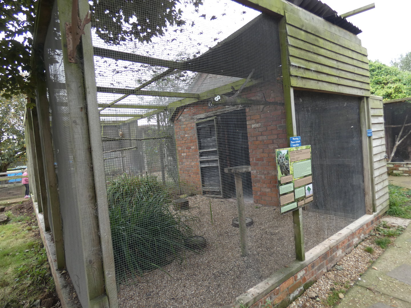 Indian eagle-owl aviary