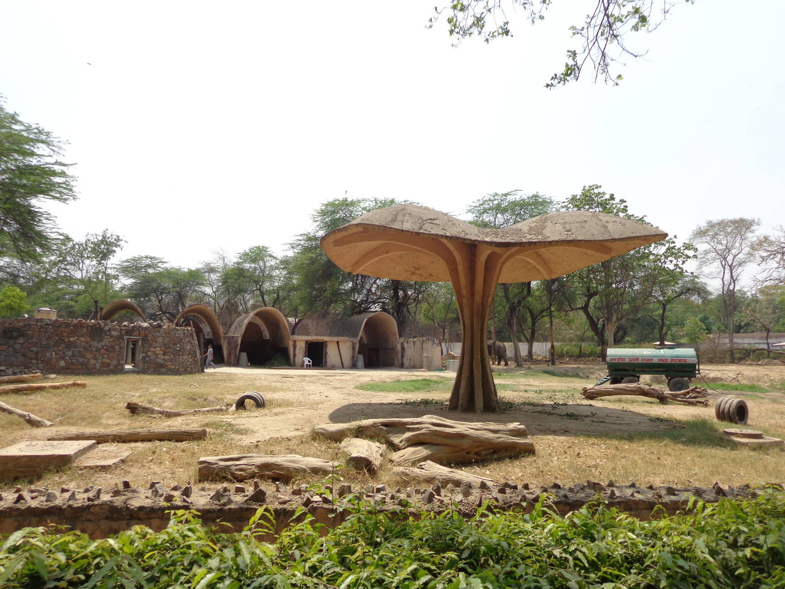 Indian Elephant Exhibit Angle #1