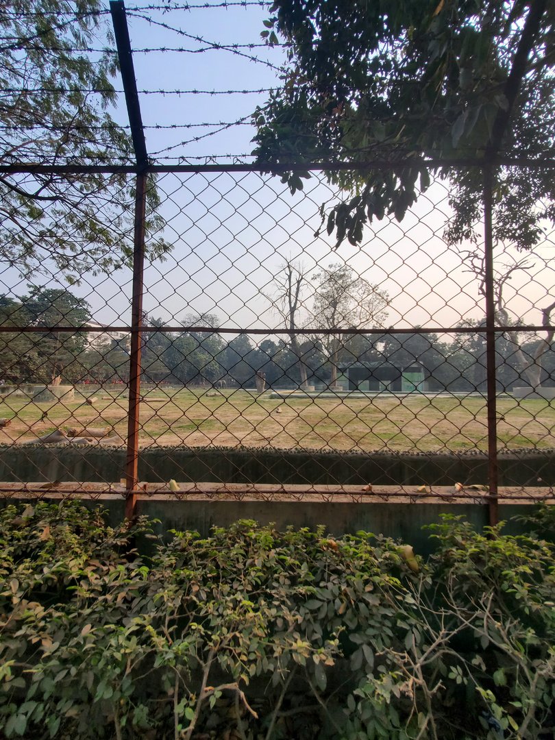 Indian Elephant Exhibit - January 2023