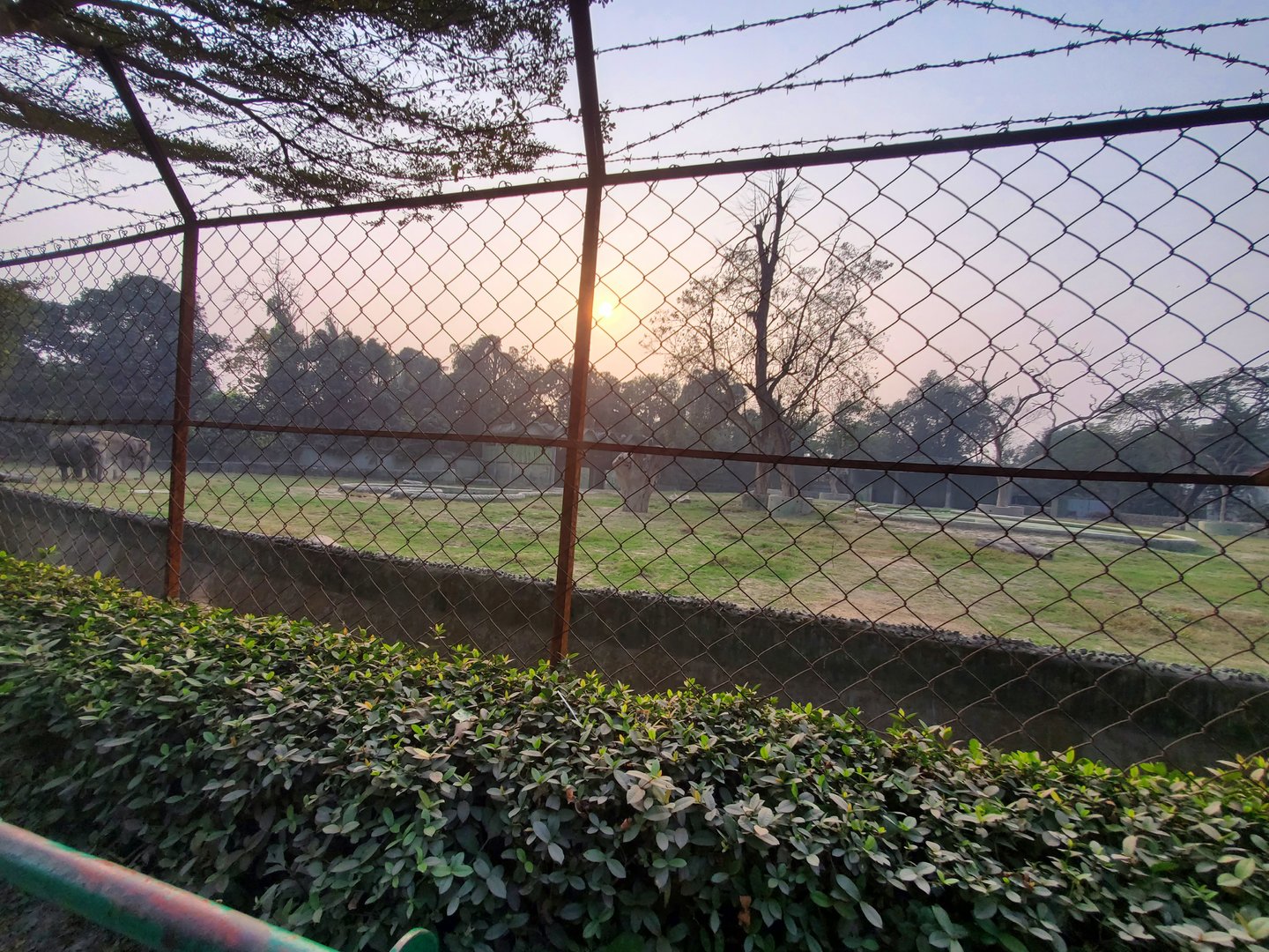 Indian Elephant Exhibit  - January 2023