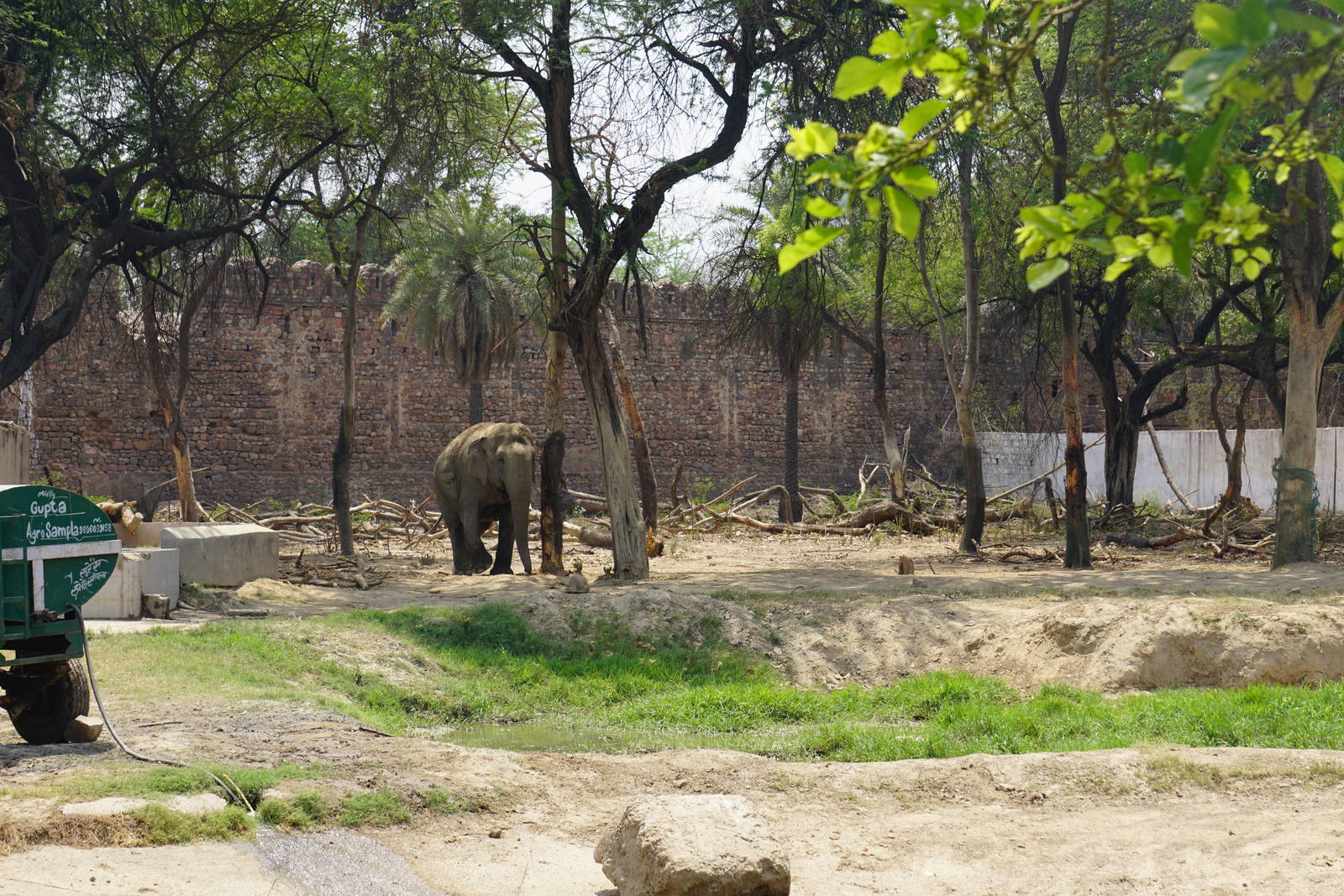 Indian Elephant Exhibit