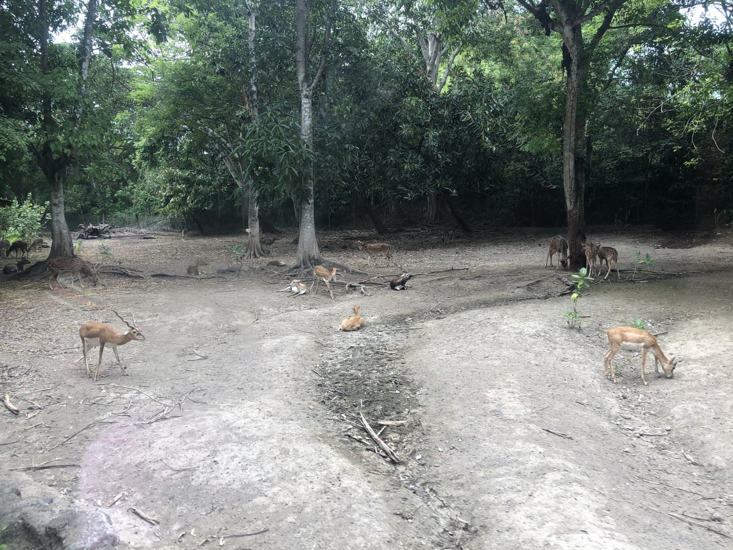 Indian Fields Exhibit