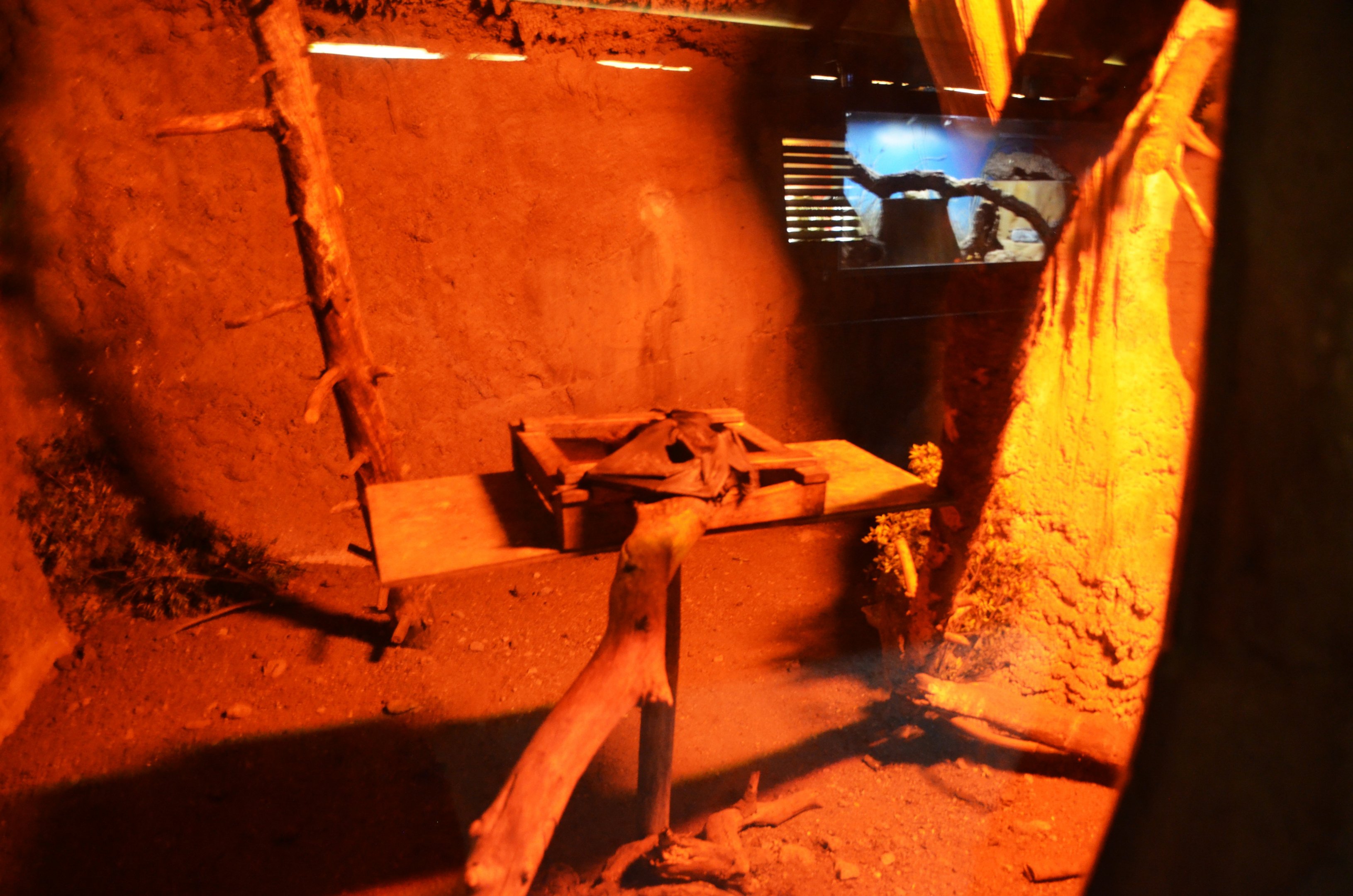 Indian Flying Fox Enclosure at Selwo Aventura, 13/03/19