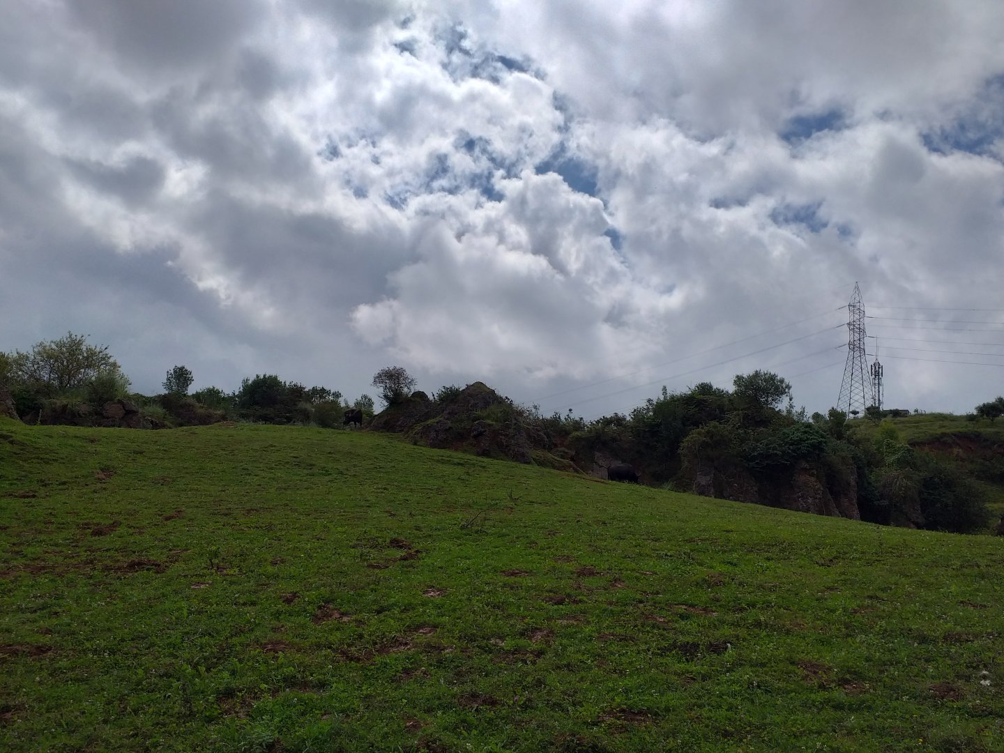 Indian gaur exhibit-Cabarceno (2019)