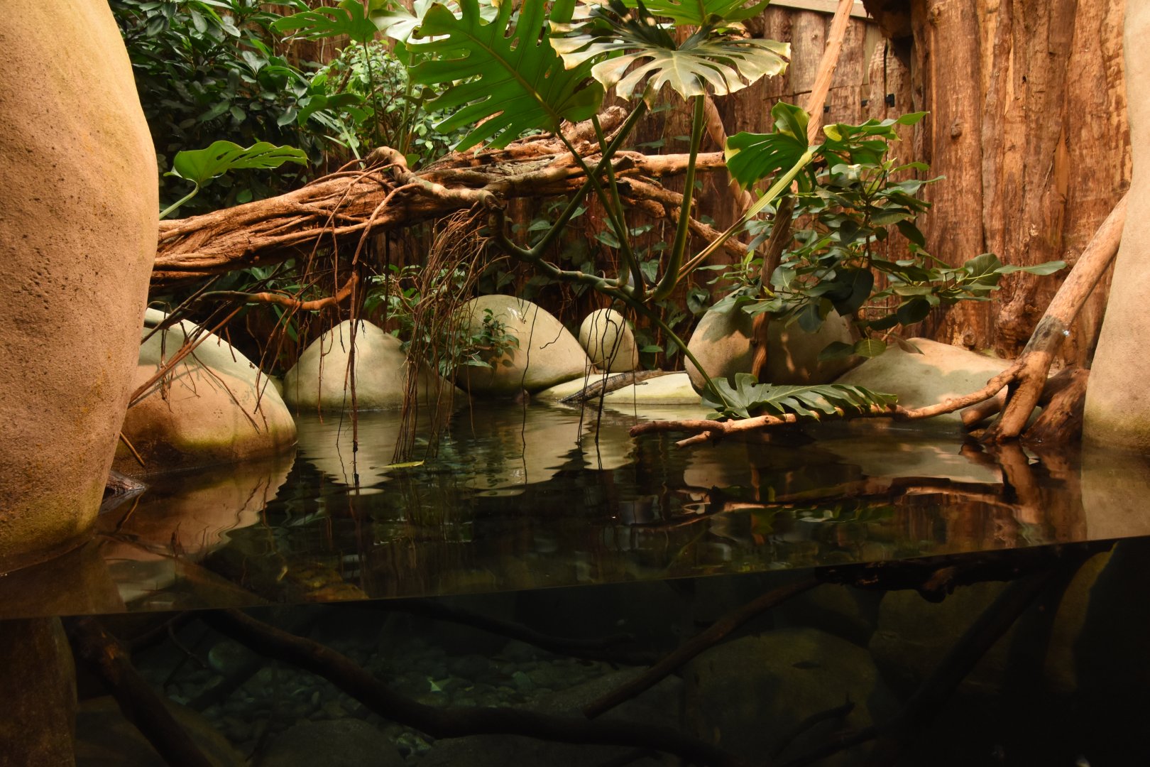 Indian Gharial enclosure
