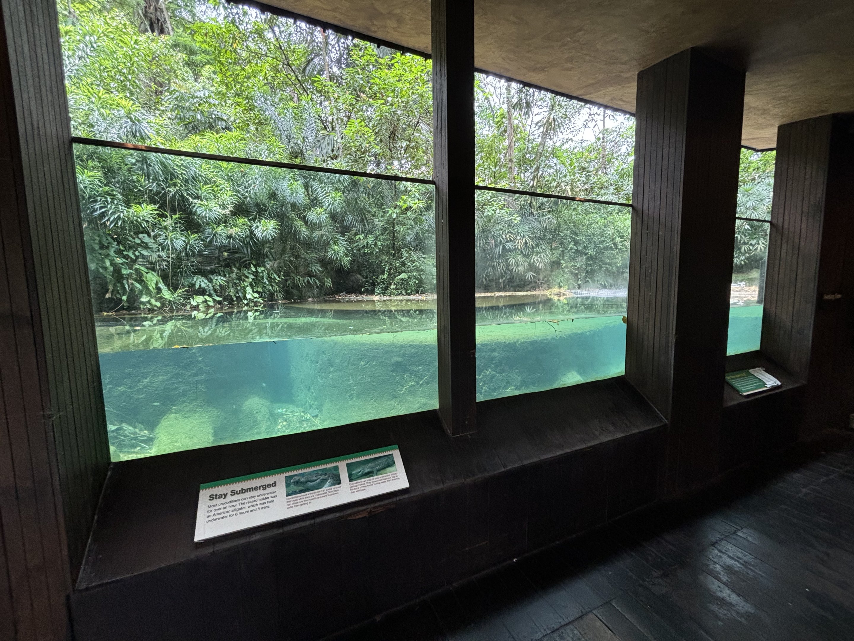 Indian Gharial Exhibit