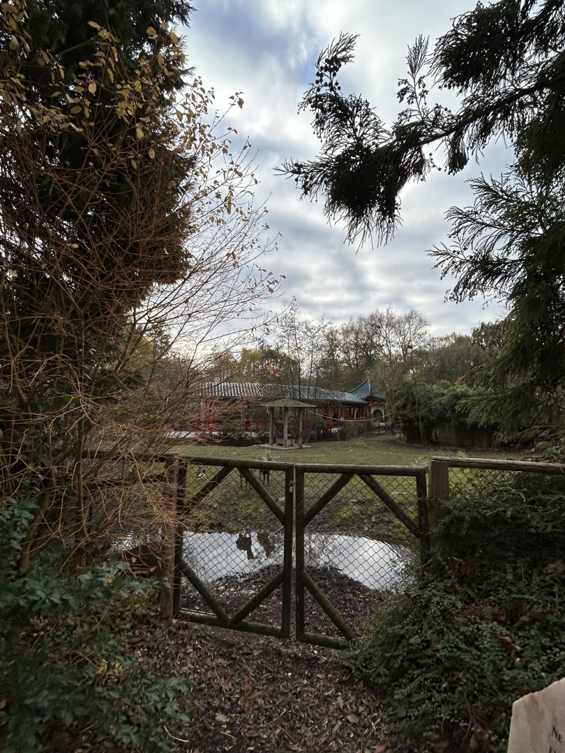 Indian hog deer exhibit