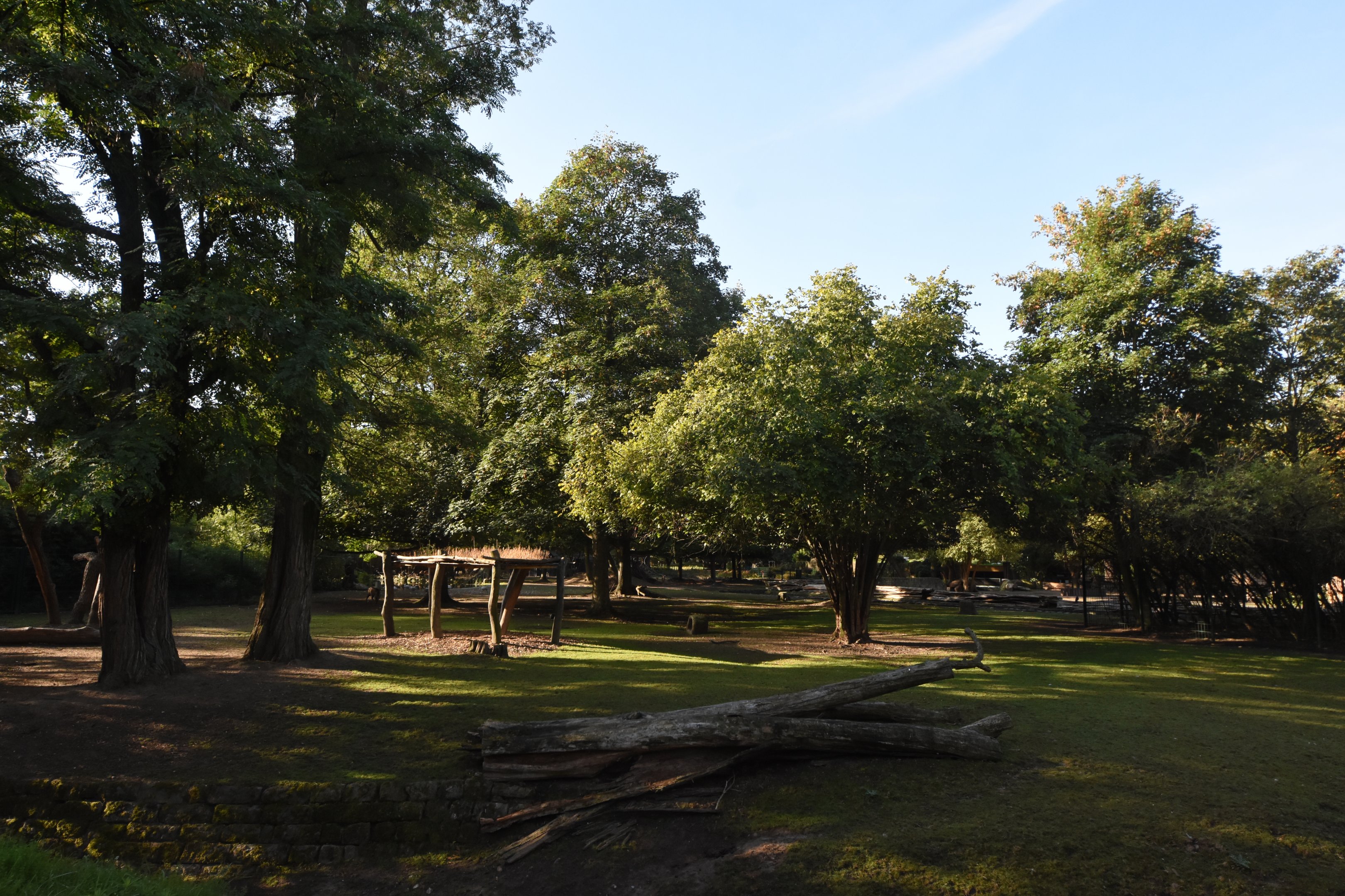 Indian hoofstock paddock