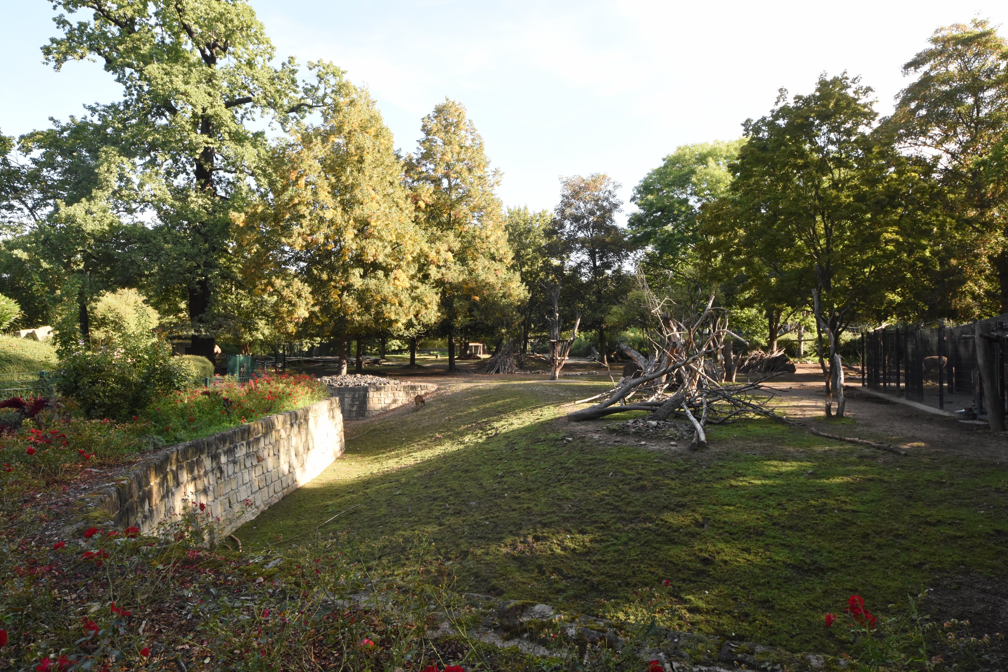 Indian hoofstock paddock