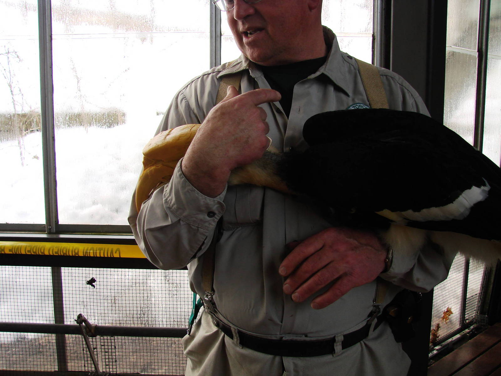 Indian Hornbill and keeper