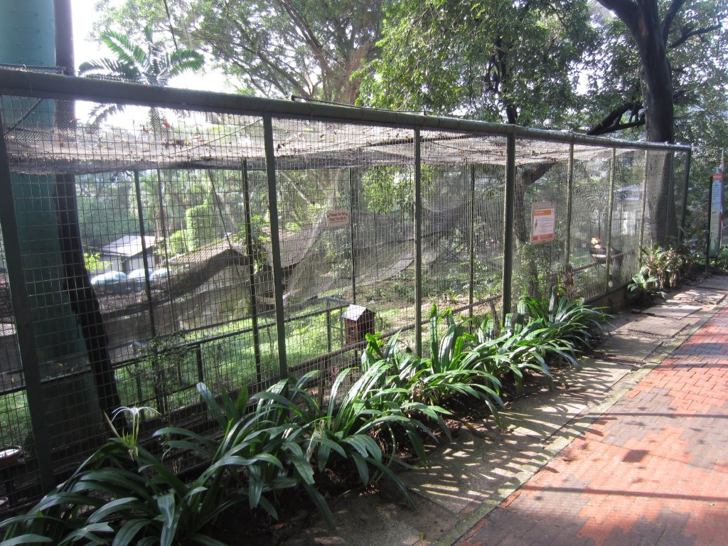 Indian Hornbill Aviary