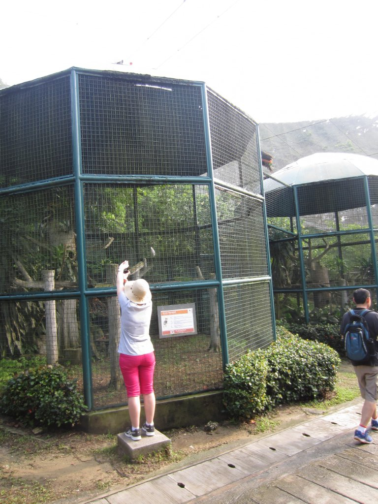 Indian Hornbill Aviary