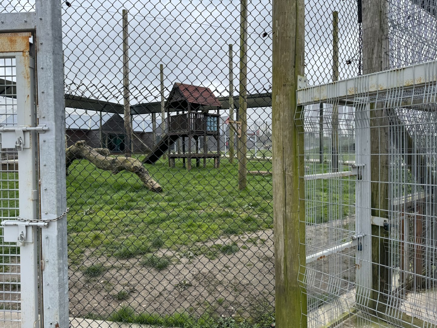 Indian Leopard Enclosure at Wolds Wildlife Park (March 2024)