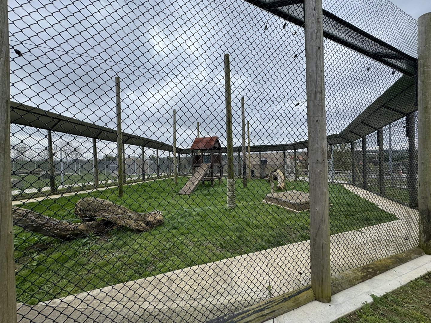 Indian Leopard Enclosure at Wolds Wildlife Park (March 2024)
