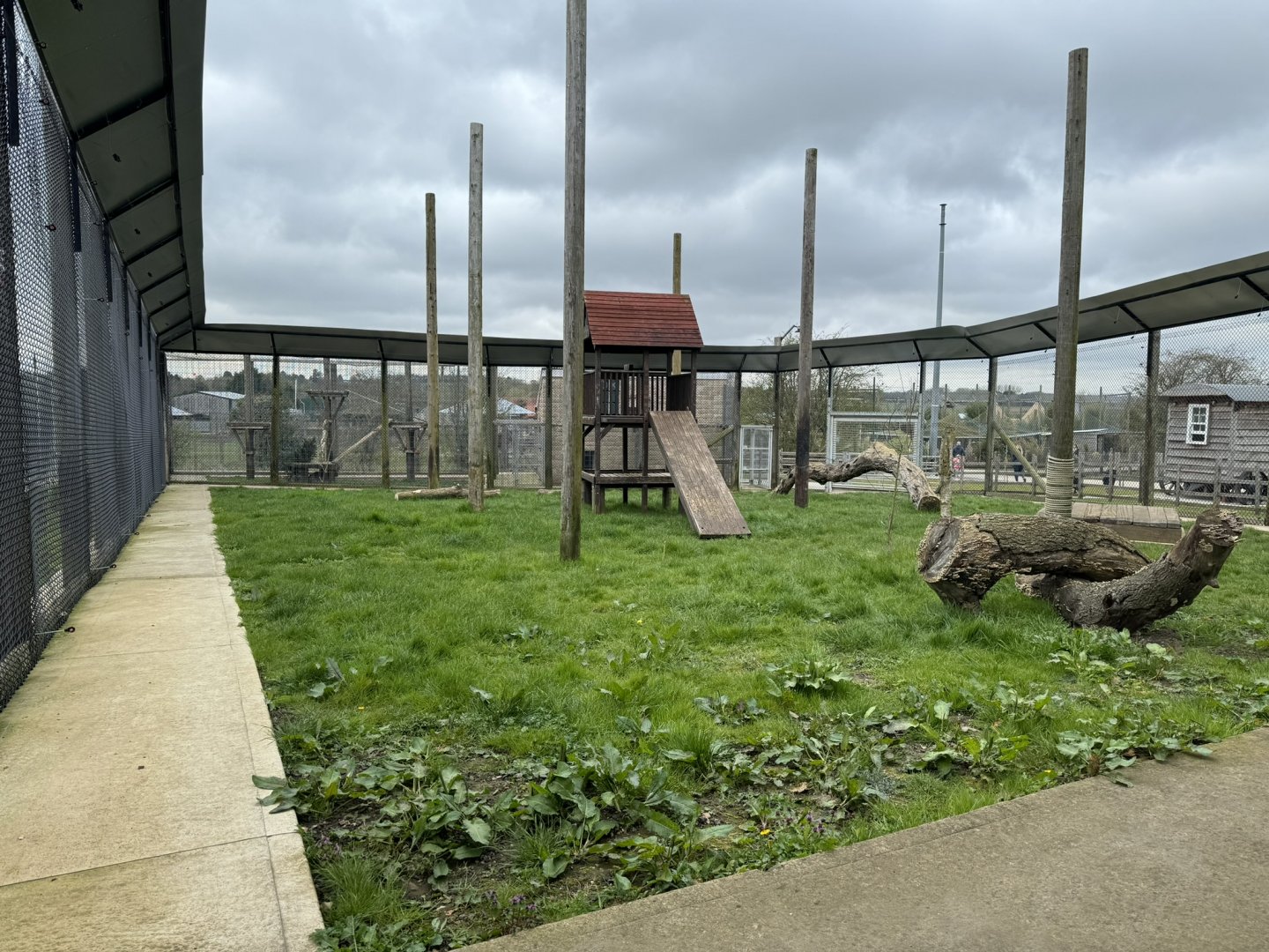 Indian Leopard Enclosure at Wolds Wildlife Park (March 2024)