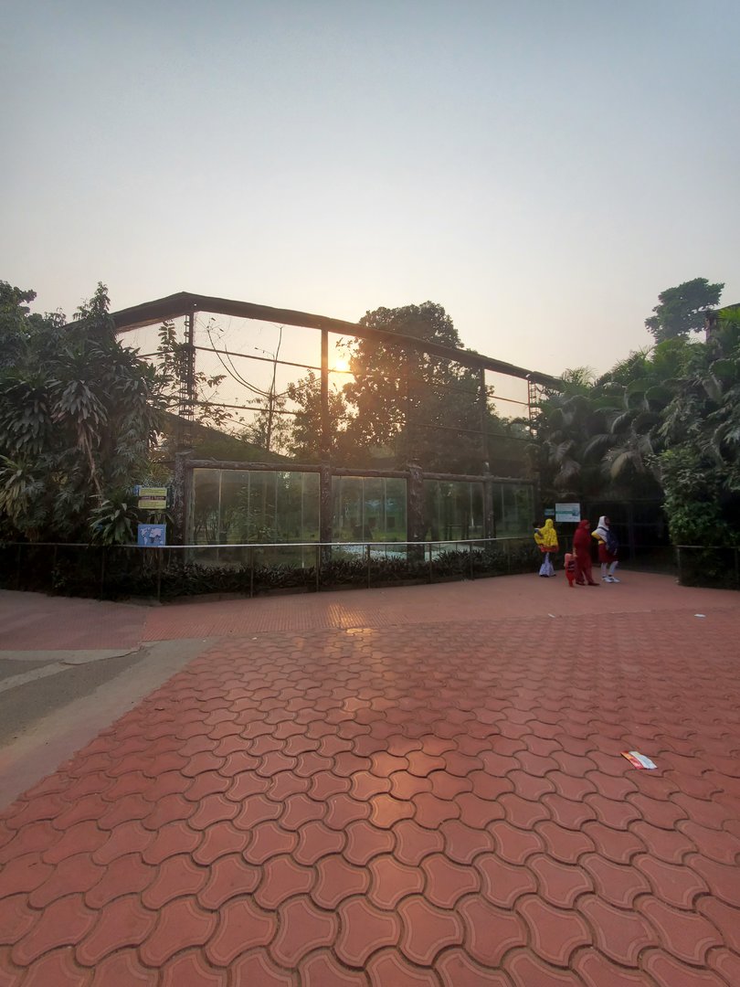 Indian Leopard Exhibit Overview - January 2023