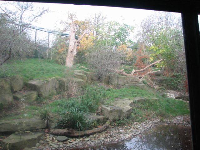 Indian lion exhibit
