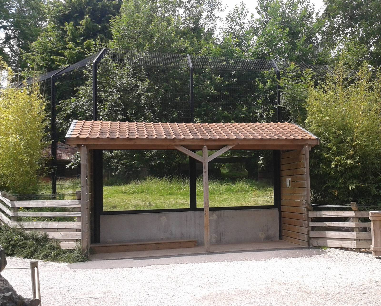 Indian lion viewing-point