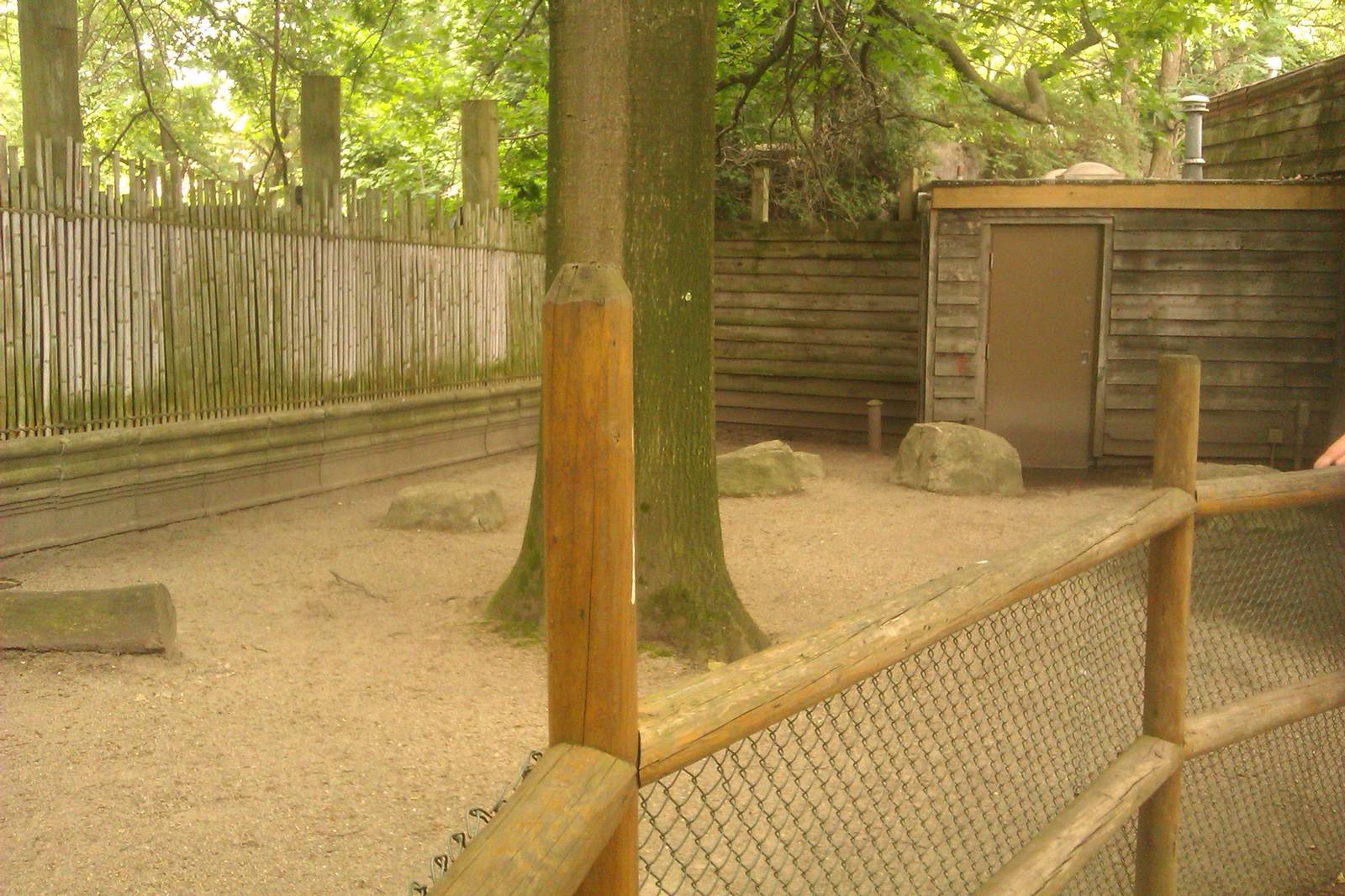 Indian Muntjac Exhibit