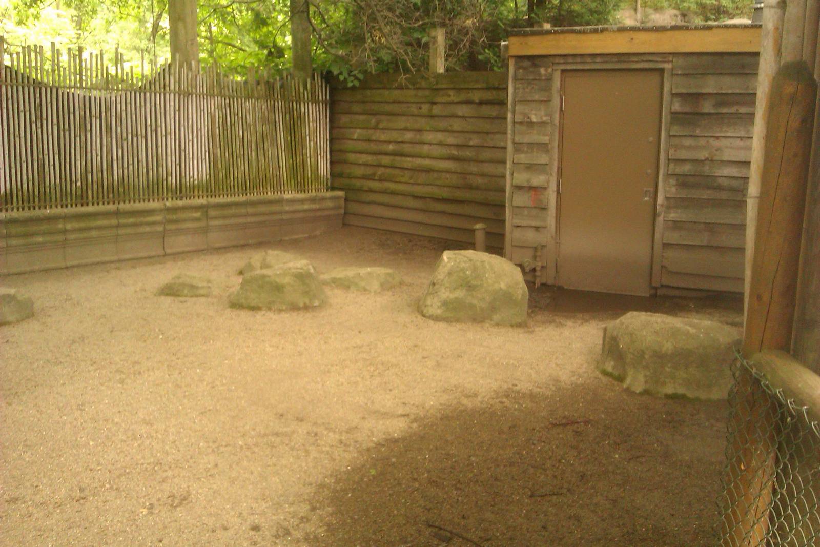 Indian Muntjac Exhibit