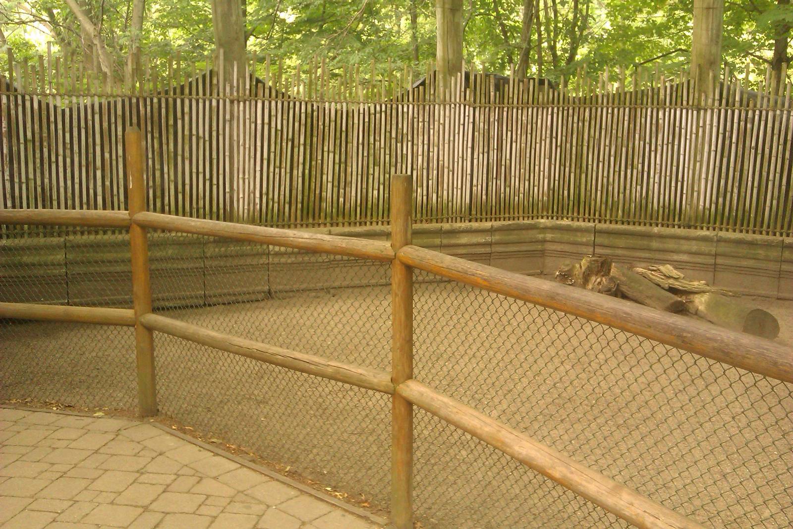 Indian Muntjac Exhibit