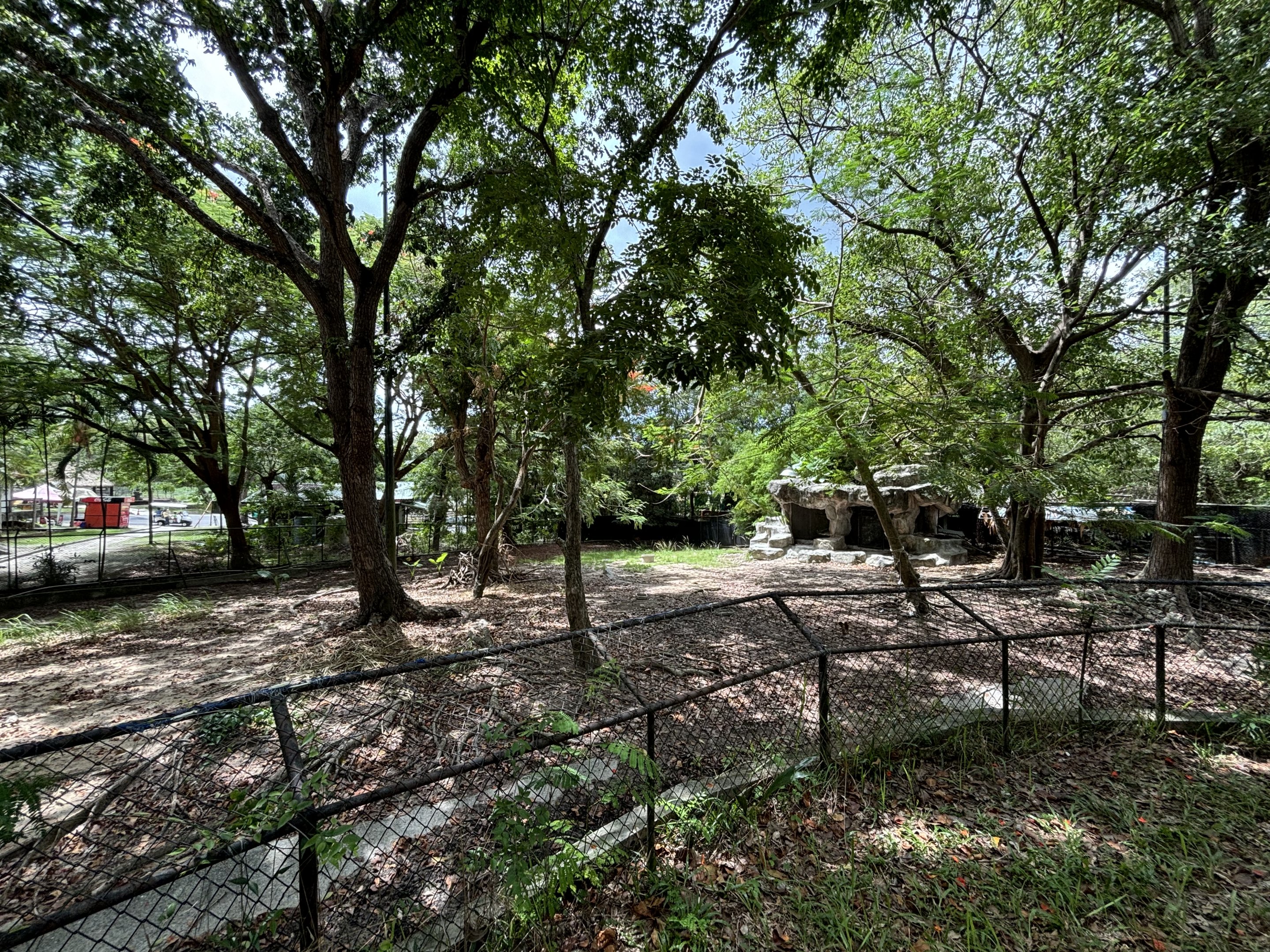 Indian Muntjac Exhibit
