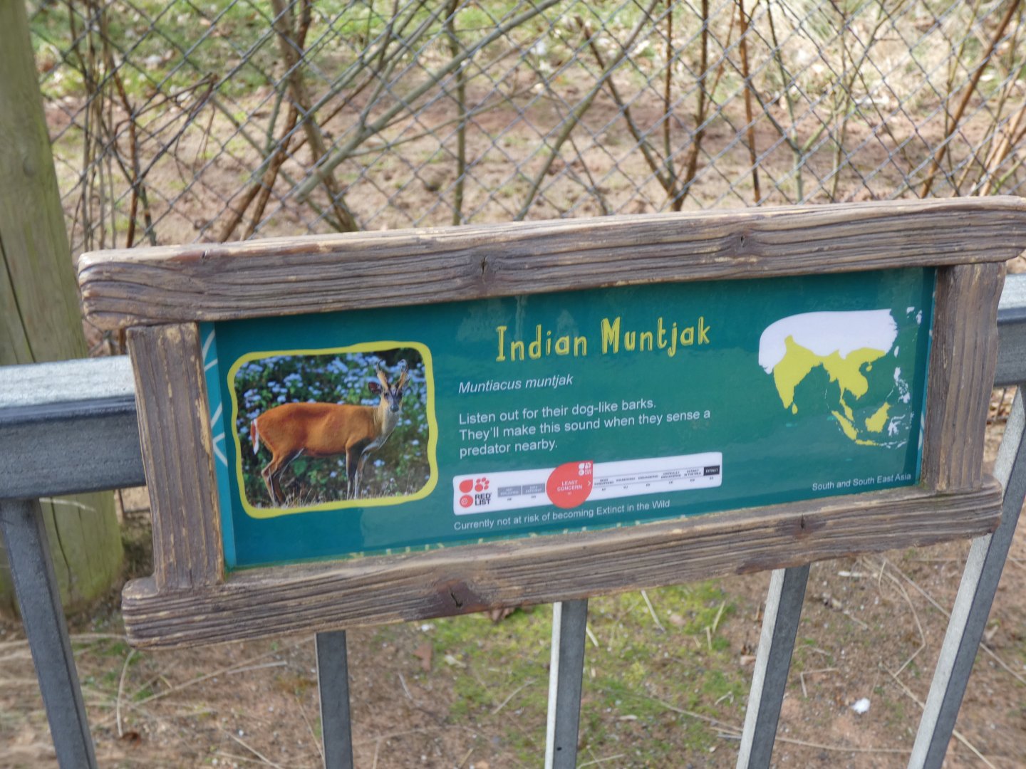 Indian Muntjac Signage