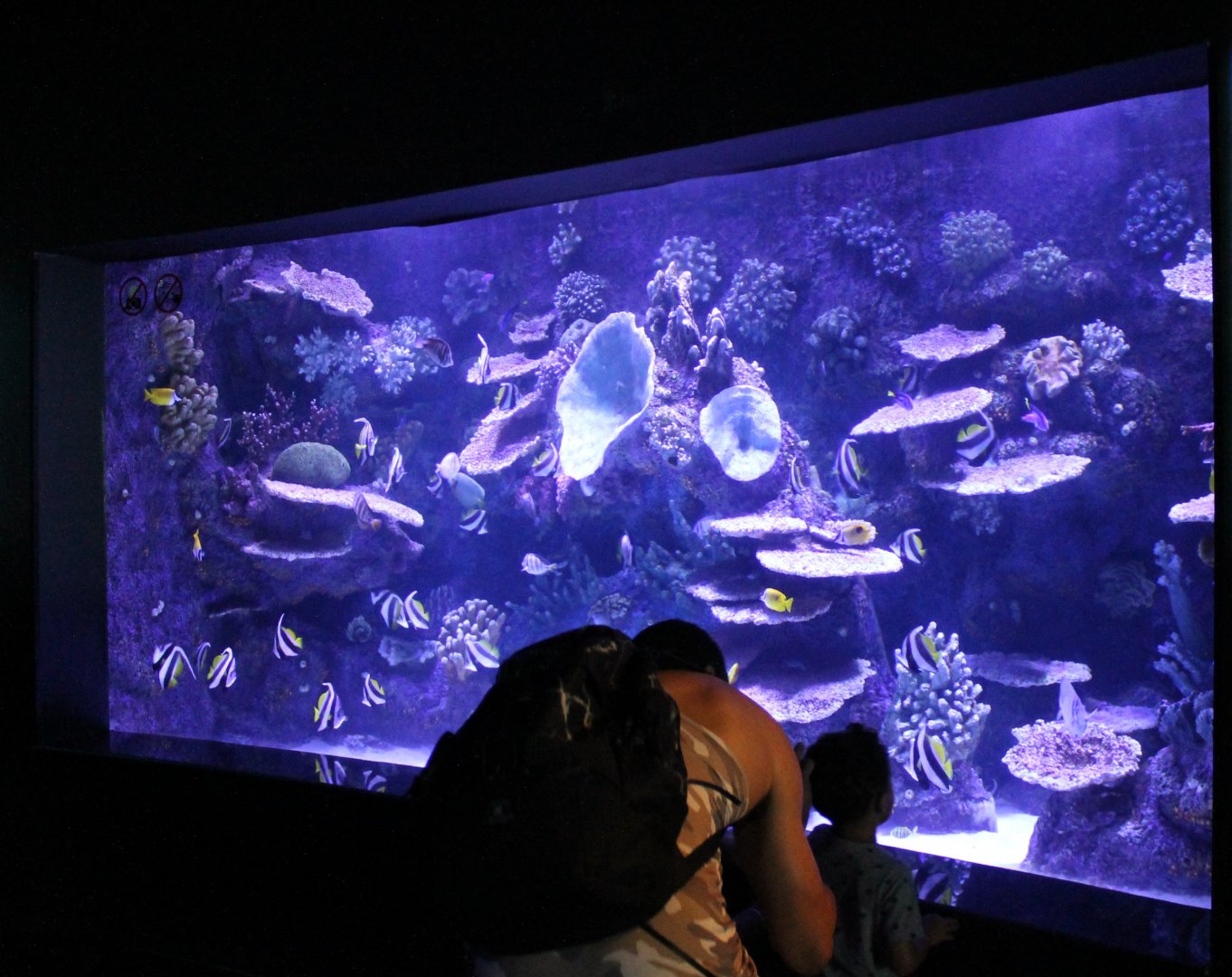 Indian Ocean Aquarium