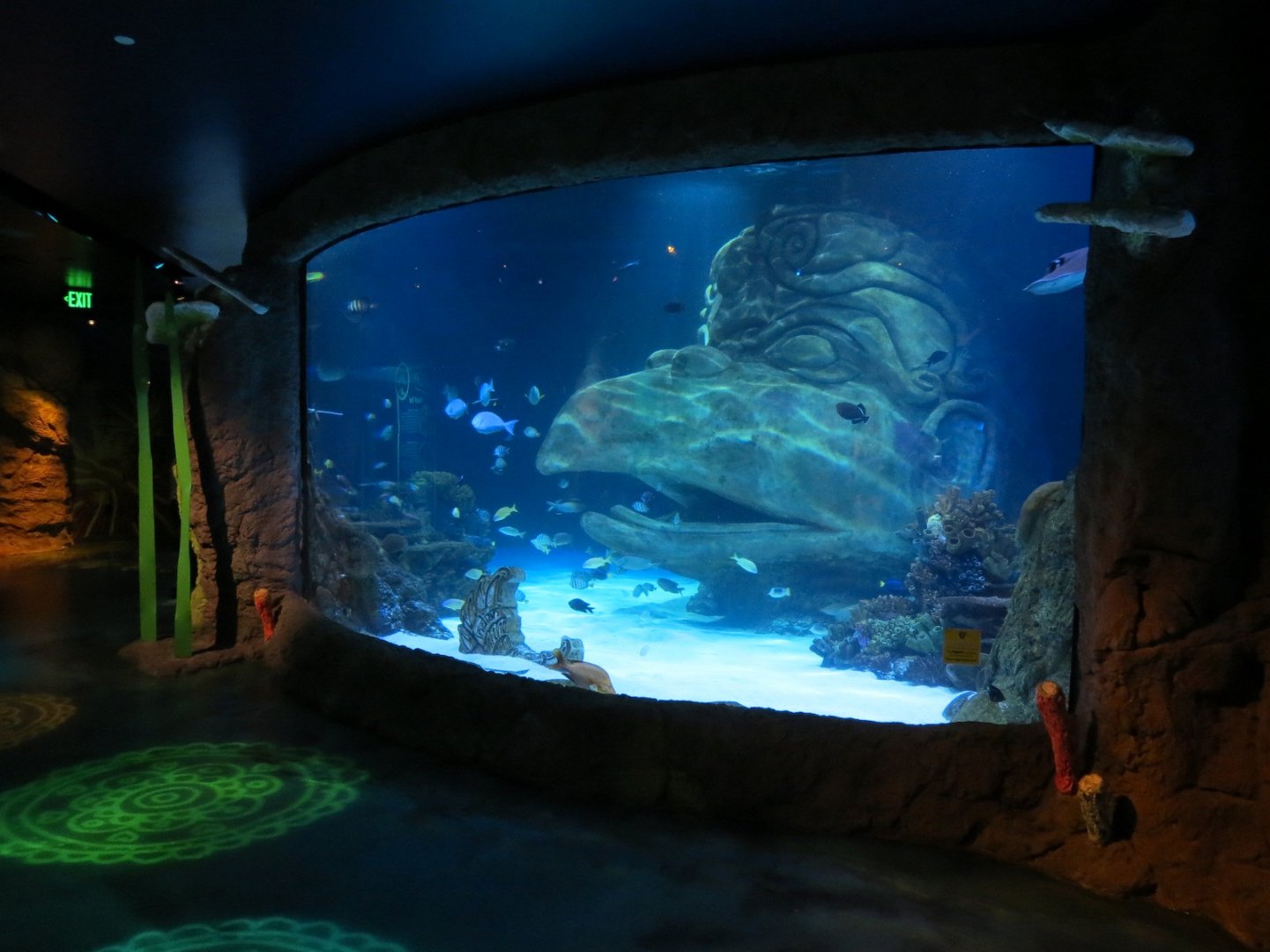 Indian Ocean Exhibit